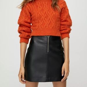 Aritzia Roxanne A-line Mini Skirt